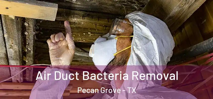 Air Duct Bacteria Removal Pecan Grove - TX