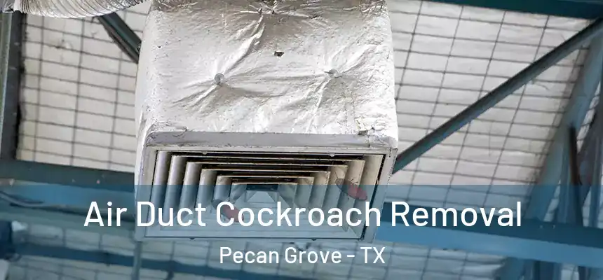 Air Duct Cockroach Removal Pecan Grove - TX