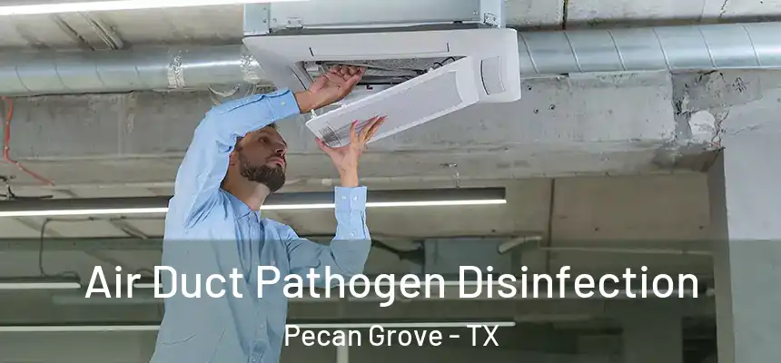  Air Duct Pathogen Disinfection Pecan Grove - TX