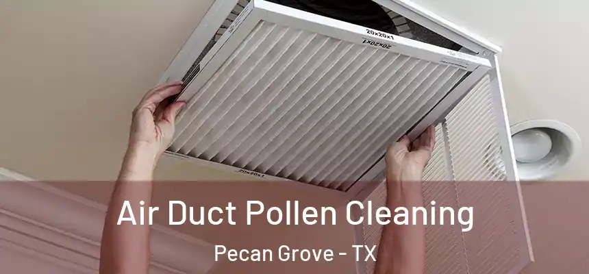 Air Duct Pollen Cleaning Pecan Grove - TX