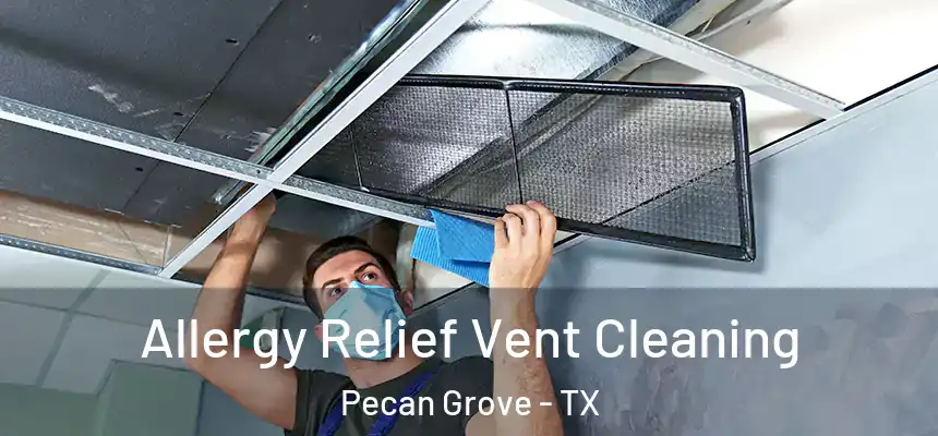 Allergy Relief Vent Cleaning Pecan Grove - TX