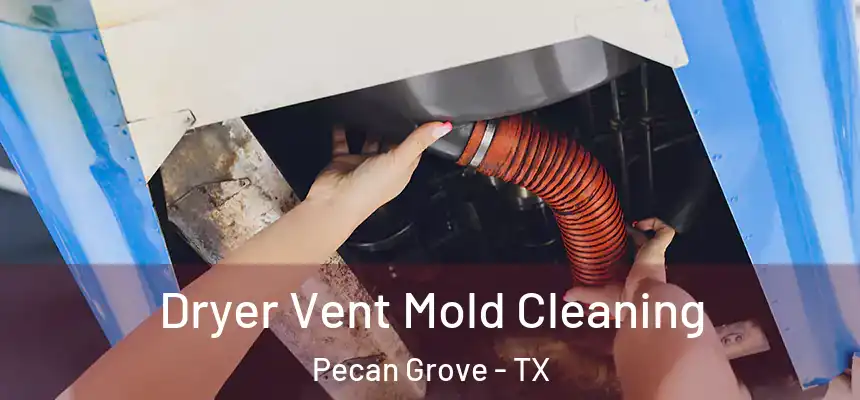 Dryer Vent Mold Cleaning Pecan Grove - TX