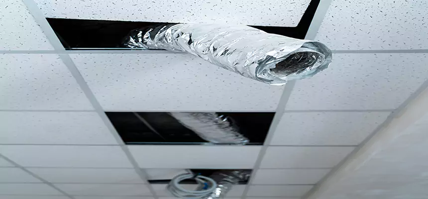 Affordable HVAC Sanitizing After Pest Removal in Pecan Grove