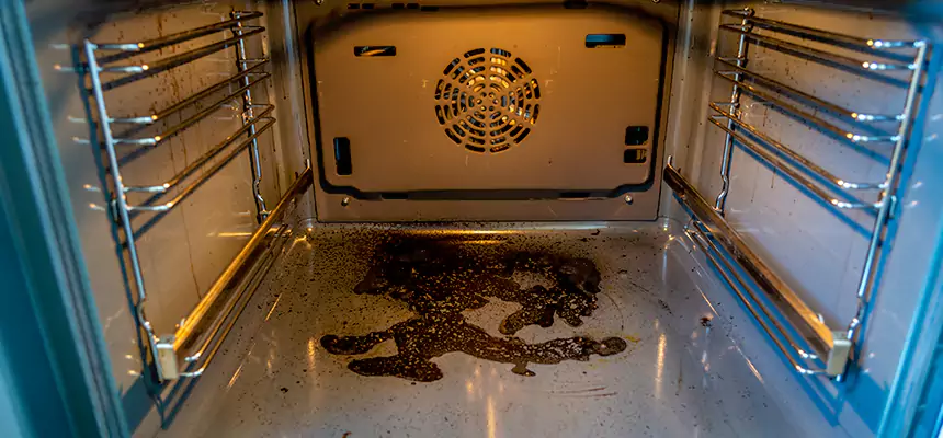 Our Dryer Vent Mold Cleaning Services in Pecan Grove, TX