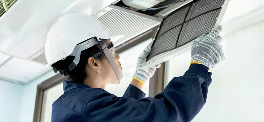 Our Mold & Mildew Removal from Air Ducts Services in Pecan Grove, TX