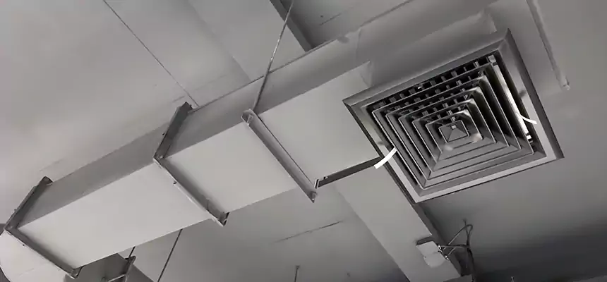 Our Pest Removal From Ducts Services in Pecan Grove, TX