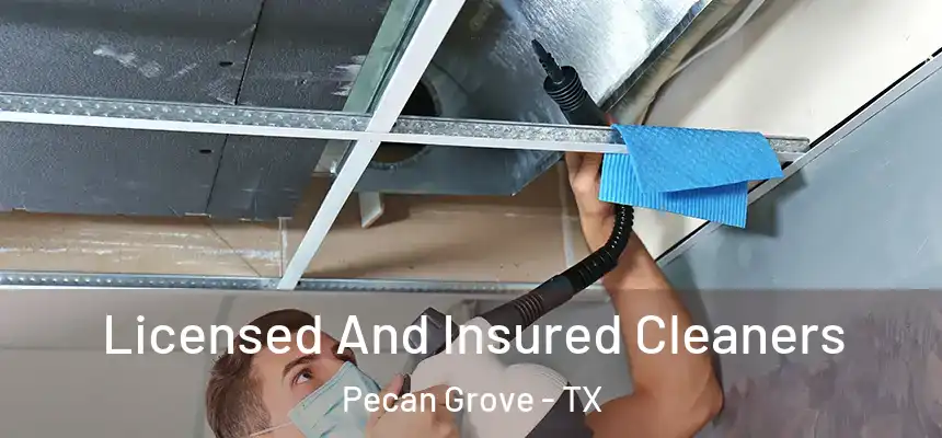 Licensed And Insured Cleaners Pecan Grove - TX