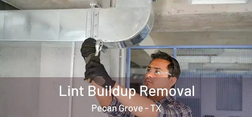 Lint Buildup Removal Pecan Grove - TX