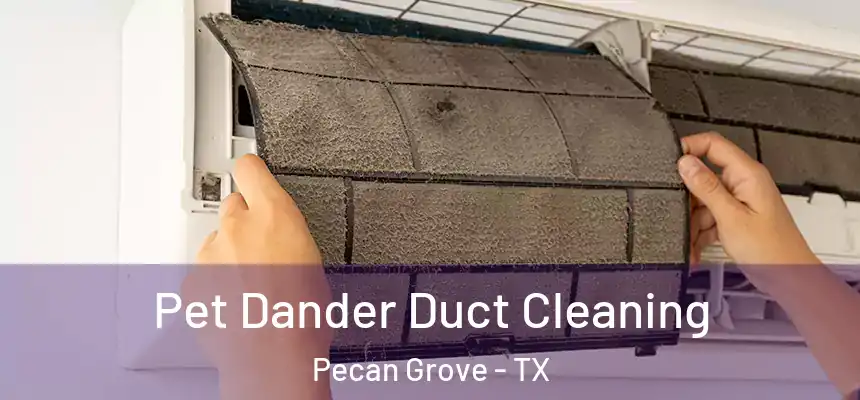 Pet Dander Duct Cleaning Pecan Grove - TX