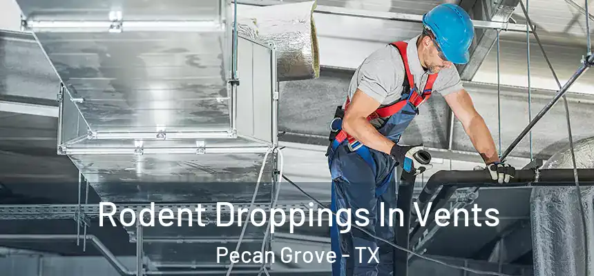 Rodent Droppings In Vents Pecan Grove - TX