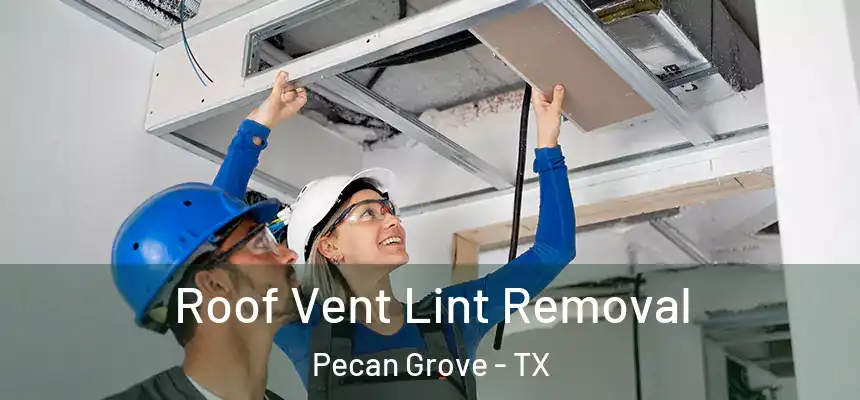 Roof Vent Lint Removal Pecan Grove - TX