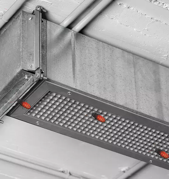 About Air Duct Cockroach Removal in Pecan Grove, TX