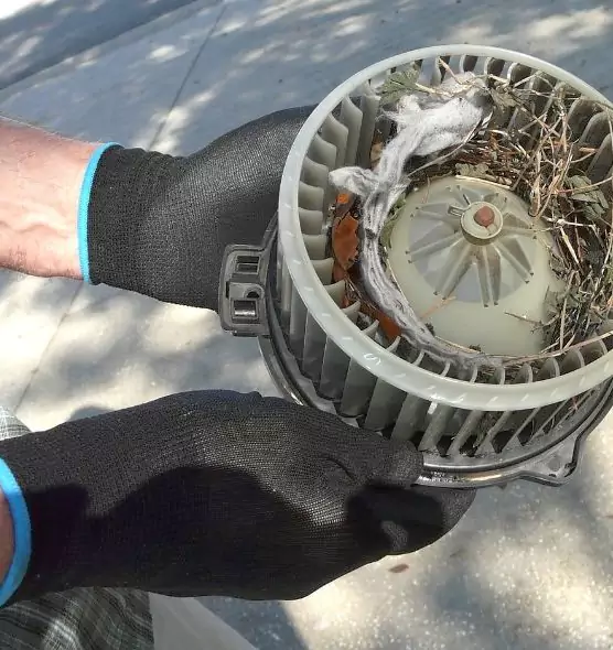 About Air Duct Mice Removal in Pecan Grove, TX