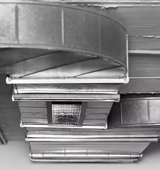 Professional Air Duct Pest Removal in Pecan Grove, TX