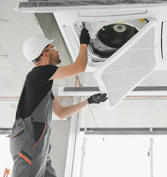 About Air Duct Rodent Removal in Pecan Grove, TX