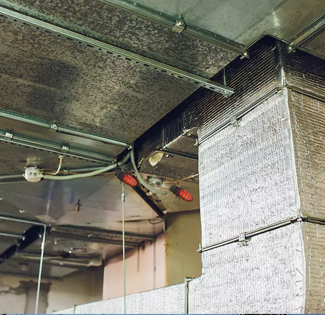 Why Homeowners & Businesses Trust Us in Pecan Grove, TX?