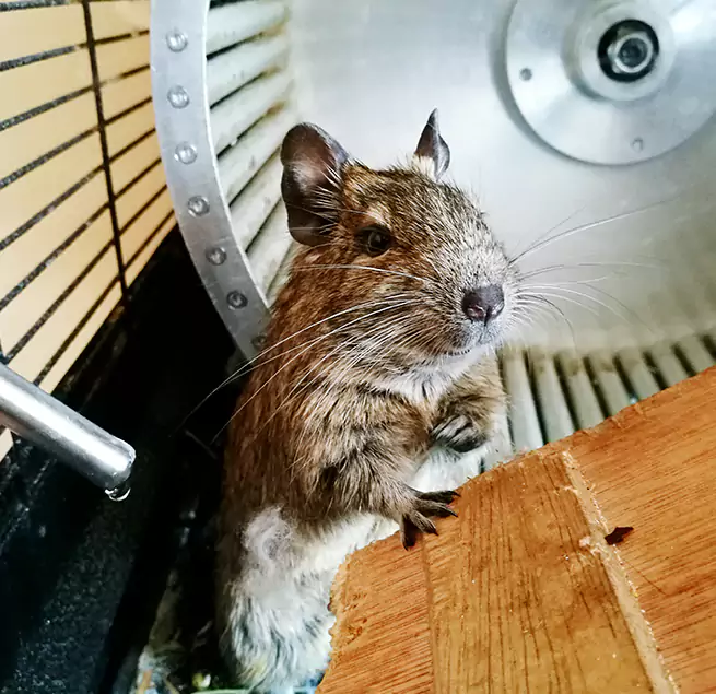 Why Homeowners & Businesses Trust Us Pecan Grove, TX?