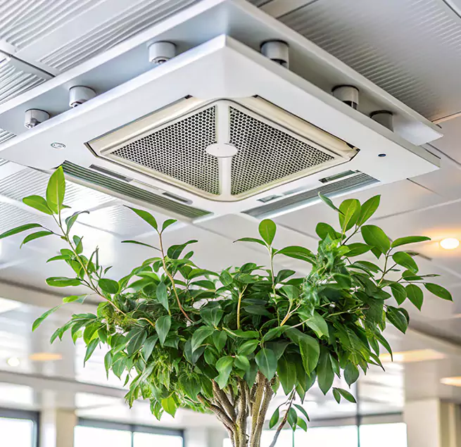 Why Homeowners & Businesses Trust Us in Pecan Grove, TX?