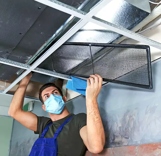 Why Homeowners Businesses Trust Us in Pecan Grove, TX